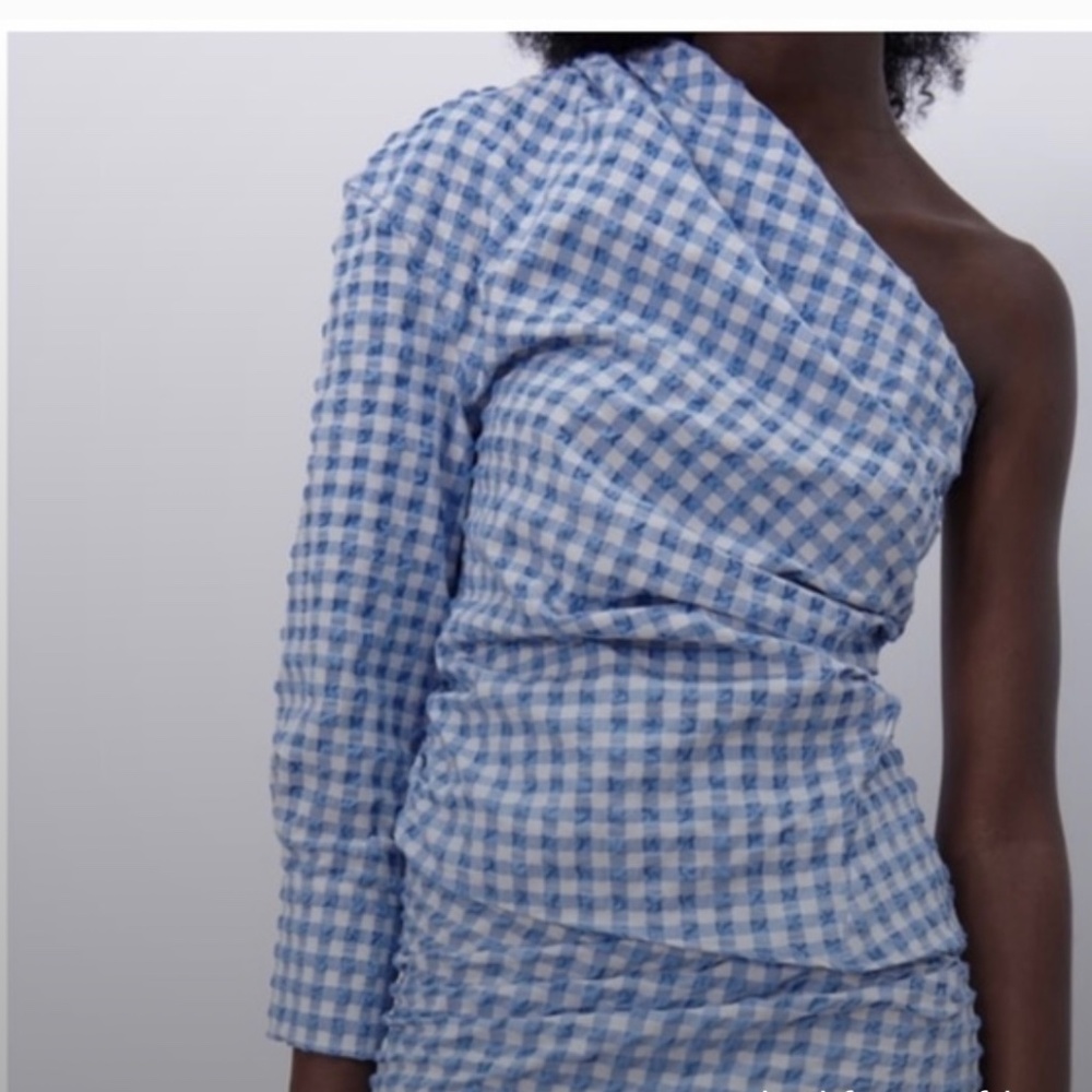 Zara Blue and White Gingham Top SZ M